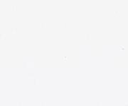 45" 200 Count Muslin Warm White - Quilt Fabric