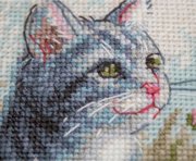 Garden Whiskers - Cross Stitch Kit, different perspective #1. Select this picture to zoom in