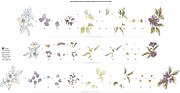 Hello Beautiful - Craft Your Life Project Kit