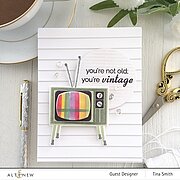 Window Slats - 3D Embossing Folder