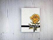 Fairy Tale Rose - Clear Stamp
