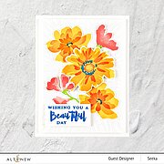 Watercolor Extravaganza - Clear Stamp Set