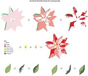 Dry Brush Poinsettia - Layering Stamp Set