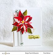 Dry Brush Poinsettia - Layering Stamp Set