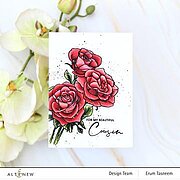 Paint-A-Flower - Rosa Floribunda Outline - Clear Stamp Set