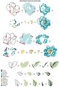 Nature Blossoms - Clear Stamp Set