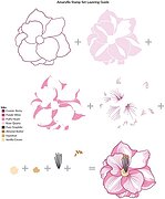 Amaryllis Flowers - Clear Stamp Set