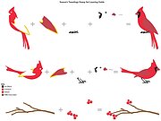 Season's Tweetings - Christmas Clear Stamp, different perspective #1. Select this picture to zoom in