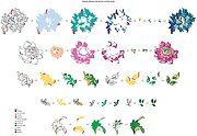 Majestic Bouquet - Stamp and Die