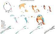 Bird of the Woods - Layering Stamp and Die Set