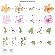 Whirlwind Flowers - Stamp and Die