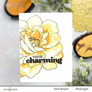 Golden Days - Stamp and Die Set