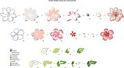 Garden Delights - Layering Stamp and Die Set