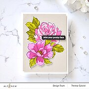 Kind Reminders - Stamp and Die Set