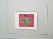 The Scottish Thistle On Pink  - Needlepoint / Tapestry Kits, different perspective #2. Select this picture to zoom in