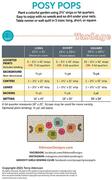 Posy Pops - Quilt Pattern
