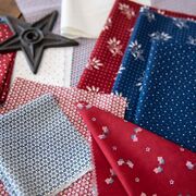 American Gatherings II - Dove - Quilt Fabric