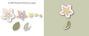 Pimpernel Contour Layers - Craft Die Set