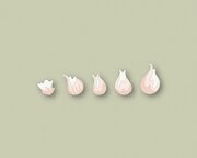Delicate Floral Buds Contour Layers - Craft Die