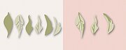 Winsome Rose and Leaves Contour Layers - Craft Die Set