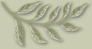 Curved Leaf Branch Contour Layers - Craft Die, different perspective #2. Select this picture to zoom in