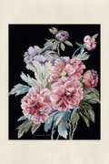 Peony Branches By P.J Redout? - Cross Stitch Pattern