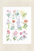 Botanical Sampler - Cross Stitch Pattern