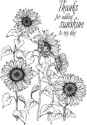 Sunflower Field - Press Plate