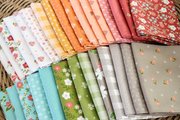 Bountiful Blooms Blush - Quilt Fabric