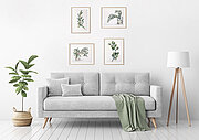 Eucalyptus Twig - Cross Stitch Kit