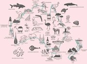 Australasian Adventure Map - Cross Stitch Kit