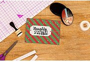 Naughty Is The New Nice - Clear Acrylic Quirky Stamp
