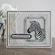 Wild About You - Clear Stamp Set