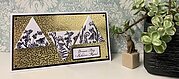 Triangle Canvas Collection - Craft Die