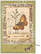 Rustic Honeycomb - Shabby Basics - Craft Die