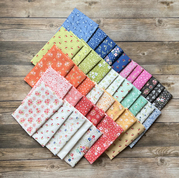 Cali And Co Slate - Quilt Fabric