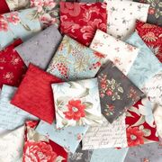 Serene Scroll Blenders Jacobean - Parch Char - Quilt Fabric
