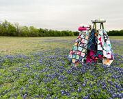 Crossweave Cheddar - Quilt Fabric