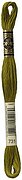 DMC 731 Six Strand Floss - Dark Olive Green