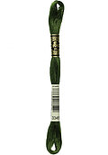 DMC 3345 Six Strand Floss - Dark Hunter Green