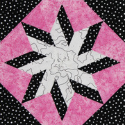 Tech Sheet Twisted Wedge Star - Quilt Pattern