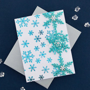 Glimmering Snowflakes - Hot Foil Plate And Die Set
