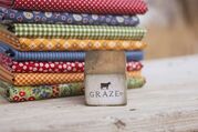 Graze Blue Ribbon Sunshine - Quilt Fabric