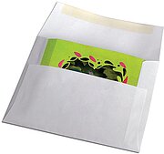 Love Birds Tunnel Card - Valentines Craft Die