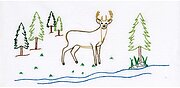 Deer - Stamped Pillowcases w White Perle Edge