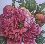 Perfect Peony, A - Cross Stitch Pattern