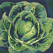 Glorious Cabbage - Cross Stitch Pattern