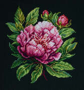 Peter Brand - Cross Stitch Kit with Hoop Included