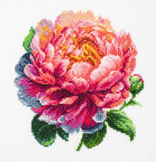 Coral Charm - Cross Stitch Kit with Hoop Included 