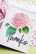 Memory Box Thanks Jotted Script Die